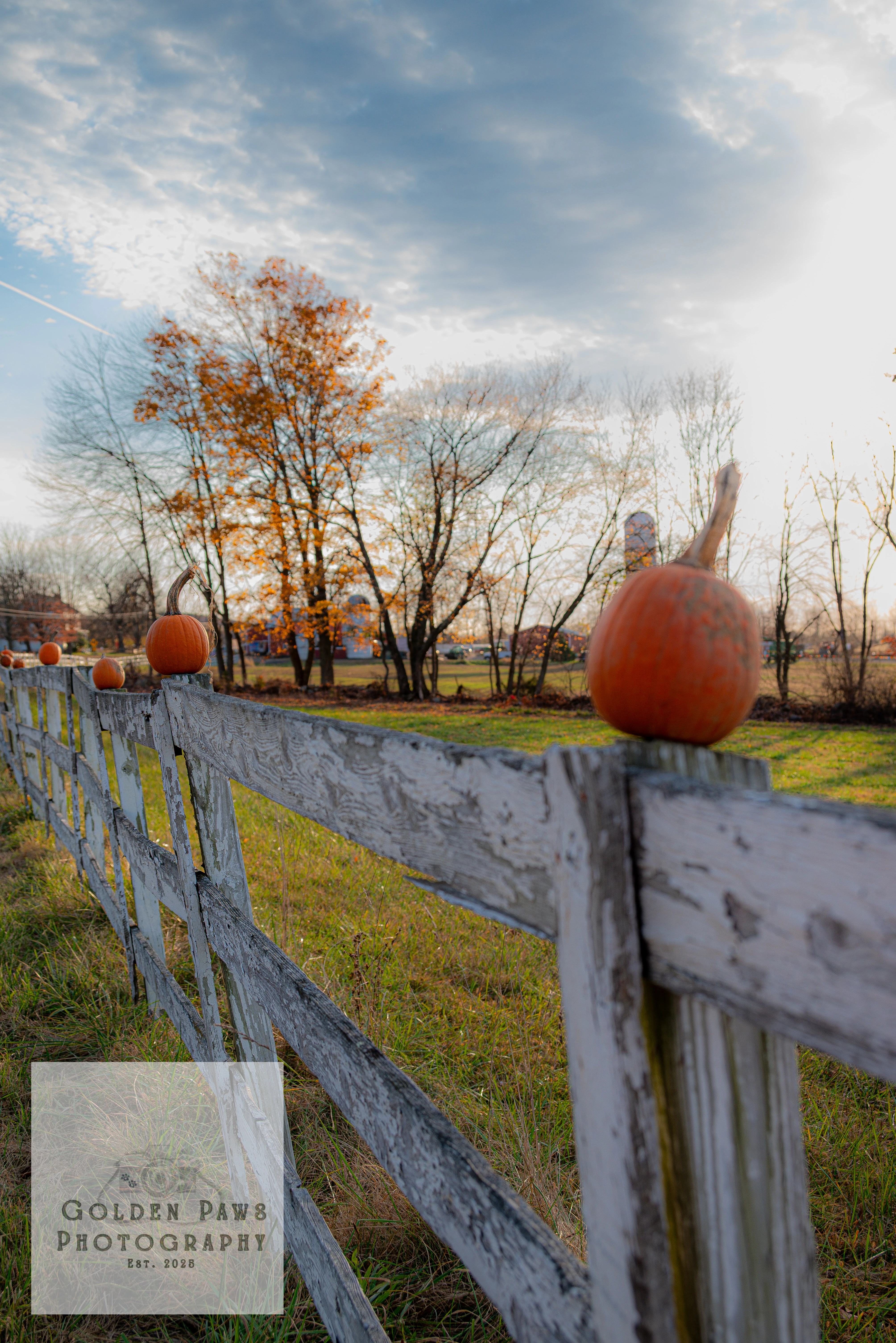Fall Pumpkin Fence