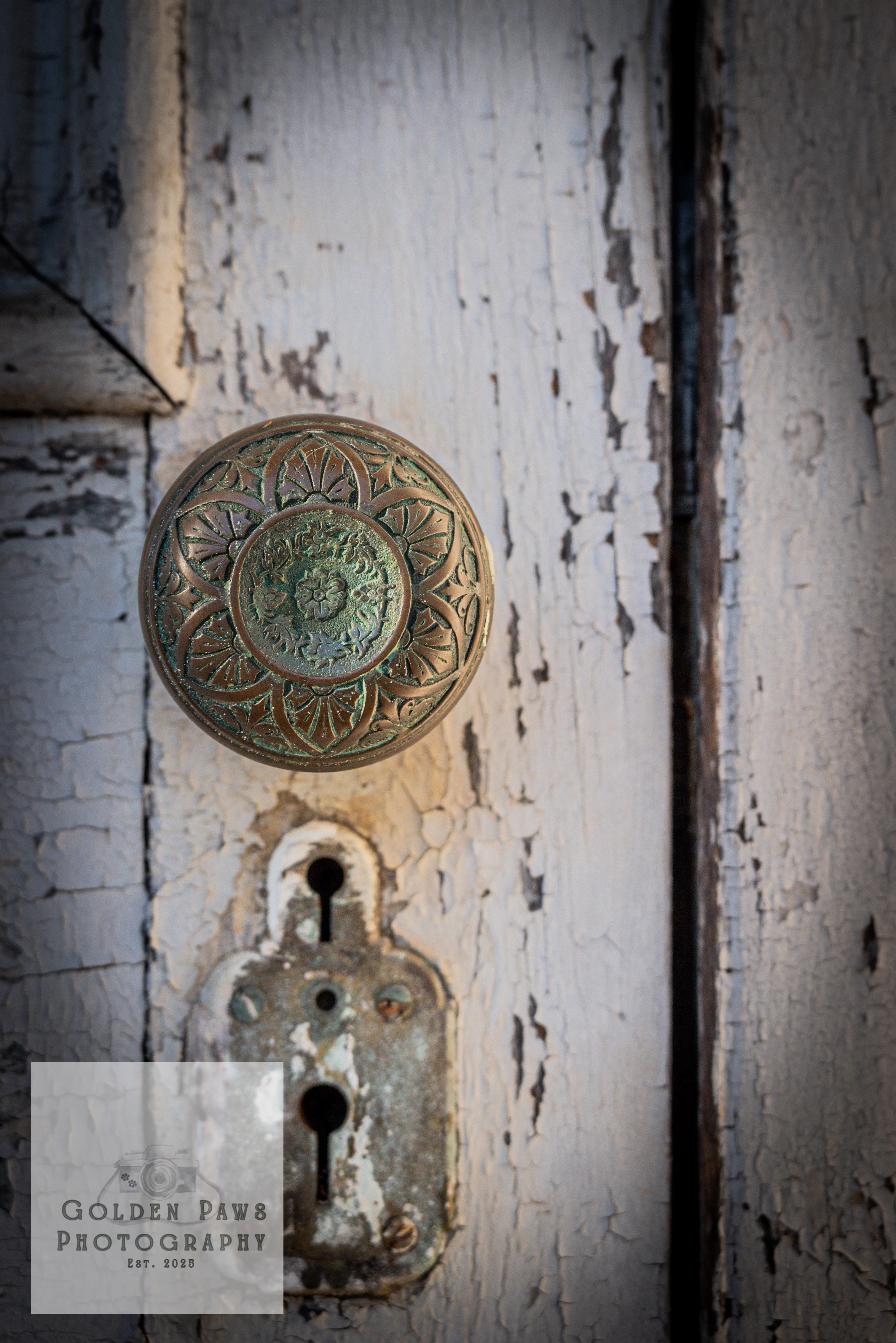 Vintage Door Lock and Handle